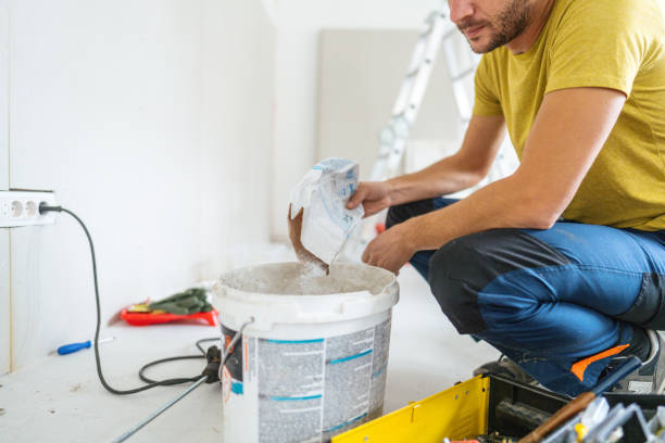 Best Drywall Removal and Disposal  in Indian Head Park, IL